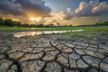 Wall Mural - Dried-up lakes, Dry cracked desert, cracked earth, dried-out land in the dry season, The global shortage of water on the planet. Global warming and greenhouse effect concept. MZ