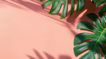 Aufkleber - Vibrant green leaves create a serene atmosphere with soft shadows on a peach backdrop under warm, natural daylight