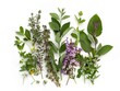 © sticker2you - Eclectic mix of aromatic herbs presented in a spontaneous arrangement isolated on a stark white background