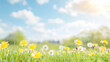 © mei - タンポポの花が咲く美しい草原 2