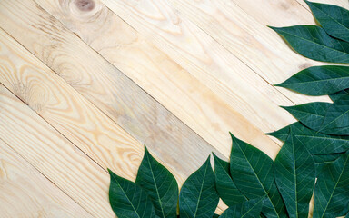 Green cassava leaf nature on brown wooden background, copy space