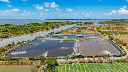 Wall Mural - Aerial view of the prawn farm with aerator pump in Thua Duc, Ben Tre, Vietnam. The growing aquaculture business continuously threatening the nearby wetlands.