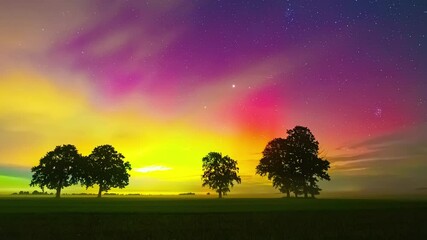 Poster - colorful night sky with northern lights and meteor shower over trees in silhouette. timelapse