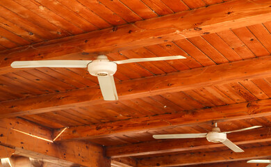 Two ceiling fans are mounted on a wooden ceiling