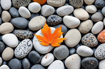 A single autumn leaf resting on a smooth