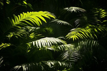 Poster - Sunlight drenched tropical leaves in vibrant green tones create a mesmerizing effect as shadows play across their surfaces, illuminating the jungle's natural artistry.