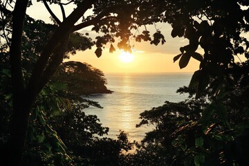 Poster - A warm golden sunset framed by lush tropical foliage, capturing the serene and tranquil beauty of nature as the sun sets over the calm ocean horizon.