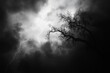 © ChaoticMind - A dramatic lightning bolt illuminates a stormy sky, highlighting the silhouette of a barren tree and creating a sense of foreboding and intense natural beauty.