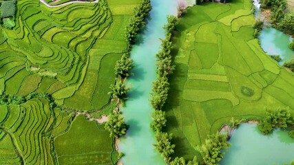 Wall Mural - Aerial landscape in Quay Son river, Trung Khanh, Cao Bang, Vietnam with nature, green rice fields and rustic indigenous houses