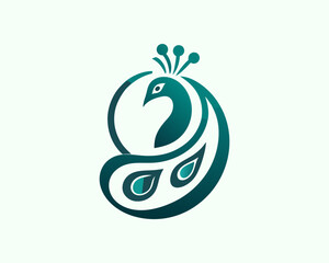 Colorful Peacock bird logo icon design vector illustration
