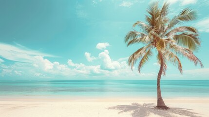 Poster - Palm tree on tropical beach with blue sky and white clouds abstract background Copy space of summer vacation and business travel concept Vintage tone filter effect color style