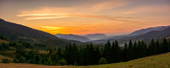 Wall Mural - panorama of countryside mountain landscape of ukraine in autumn at dawn. rural fields on forested hi