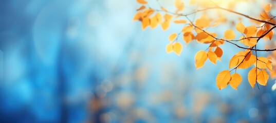 Canvas Print - Autumn background leaf sky landscape.