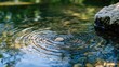 © Artyom - Stone creating ripples in peaceful pond amid rocks