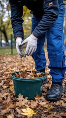 Wall Mural - A man in blue pants and gloves is collecting leaves into large bags for spring garden cleaning in a bright backyard setting