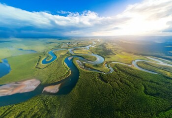 Poster - An aerial view of a river winding through a lush green forest, with bright blue sky and fluffy clouds overhead.
