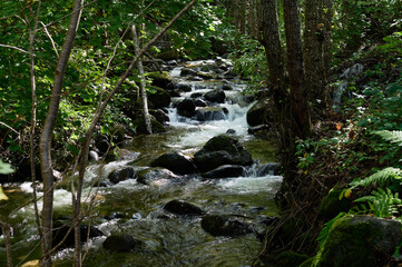 the Cuerpo de Hombre River with its cascades, feeding channels through Candelario, Ávila, Castilla y León, Spain

