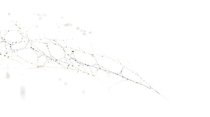Delicate spider web