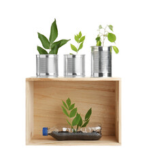 Wall Mural - Recycling concept. Wooden crate with plants in bottles and cans isolated on white