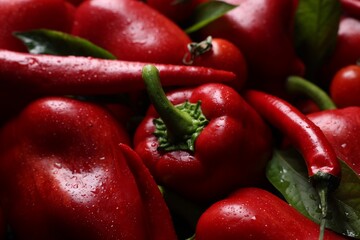 Many red peppers and tomatoes as background, closeup