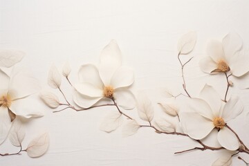 Poster - Real pressed magnolia flowers backgrounds petal plant.