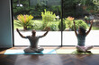© Caia Image - Woman and man with Down syndrome practicing yoga