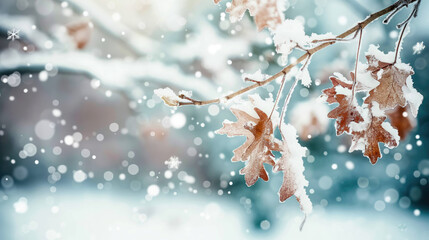 Tree branches with snowy autumn leaves on a blurred background of falling snowflakes and soft blue sky.Winter natural background with bokeh effect