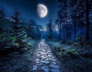 Wall Mural - moonlit pathway through dense forest