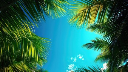 Wall Mural - sunlit palm leaves framing a vibrant blue sky.