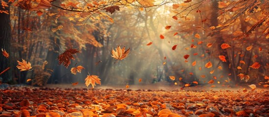 Wall Mural - Autumn leaves displaying their beauty in the forest with plenty of copy space image