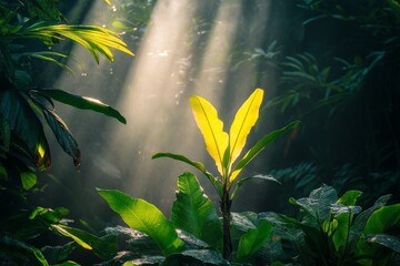 Poster - A jungle scene where sunlight dramatically highlights vibrant green foliage, capturing the dynamic atmosphere and beauty of the rainforest's ecosystem in perfect detail.
