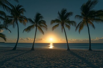 Poster - Serene beach scene at sunrise showcasing the vibrant hues of the morning sky reflected on the ocean, framed by the silhouettes of palm trees in the foreground.