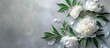 © Ilgun - Soft white peony flowers with leaves on gray table background ideal for displaying text with a sentimental touch Copy space image with top view