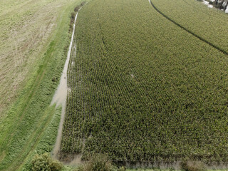 Flooded cornfield separated by road seen from above in area hit by severe flooding after heavy rain