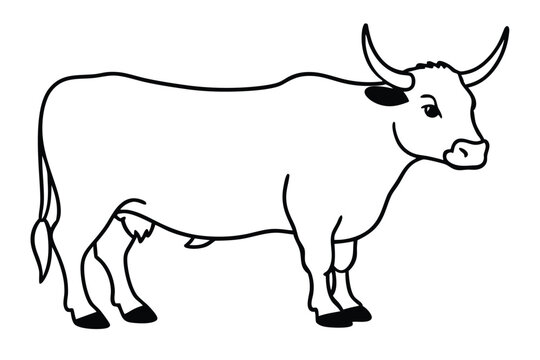 Yak line art vector illustration