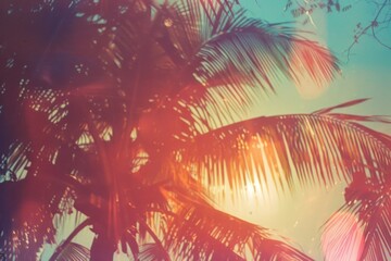 Poster - Coconut tree sunlight outdoors nature.