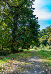 Canvas Print - Kent River Path 2