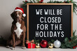 © Aisylu - Signboard with the inscription We will be closed for the Holidays on board and Cute dog on grey background. AI generated