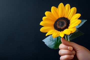 Aufkleber - Single sunflower against a plain background, capturing the essence of harvest season with simple elegance