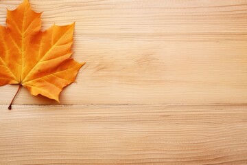 Sticker - Autumn leaf wood backgrounds plant.