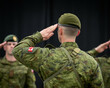 © ProArt Studios - Canadian soldiers giving salute during ceremony military, glory and honor, dignified military uniform