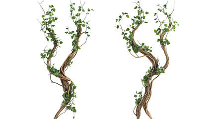 Poster - Twisted Jungle Branches With Plants on Transparent Background Generative AI