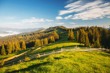 Poster - Incredible landscape of spring mountain slopes and hills on a bright sunny day. Carpathian mountains, Ukraine, Europe.