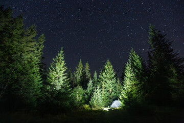Wall Mural - night lights of a tourist camp in a spruce forest under a magical starry sky with the milky way.