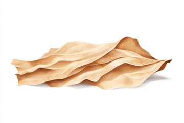 Wall Mural - organic textured leaf on white isolate background.