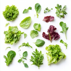 Poster - Fresh leafy greens are scattered artistically on a clean white background. This image features various types of lettuce including romaine, spinach, and arugula. A great addition to food styling. AI