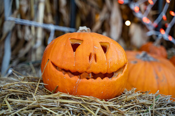 Halloween Jack-o-Lantern Pumpkin in the field.