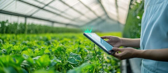 Wall Mural - iot-connected greenhouse controlling light, temperature, and water for optimal yield
