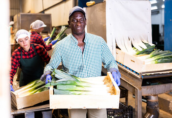 Wall Mural - Portrait of an african american farmer standing at a vegetable depot with a crate of leeks in his hands