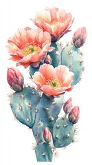 Wall Mural - a watercolor painting of a prickly pear cactus with three pink flowers in bloom, surrounded by green